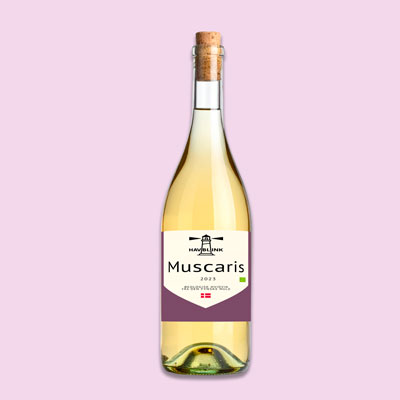 Havblink Muscaris 2023 dansk hvidvin