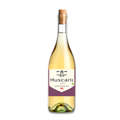 Havblink Muscaris 2023